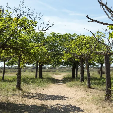 Domaine Les Muriers Campingplatz