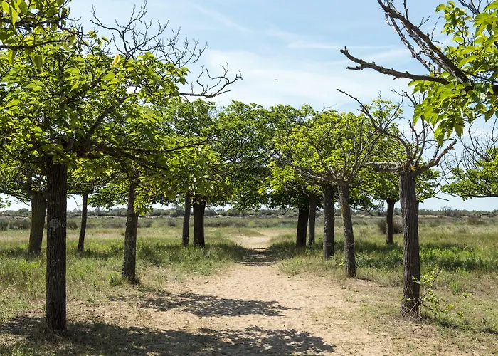 Domaine Les Muriers キャンプ場