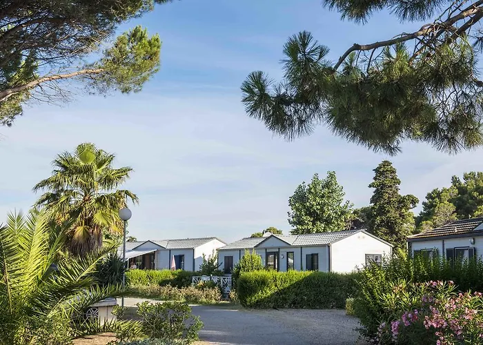 Domaine Les Muriers 4* ヴァンドル